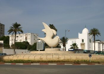 برلمانيو مدينة تطوان.. نائمون في واجباتهم العامة