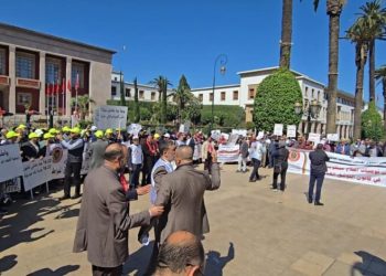 عن إهمال الحكومةلقطاع العدول ونتائجه المدمرة لمصالح الطبقات الشعبية